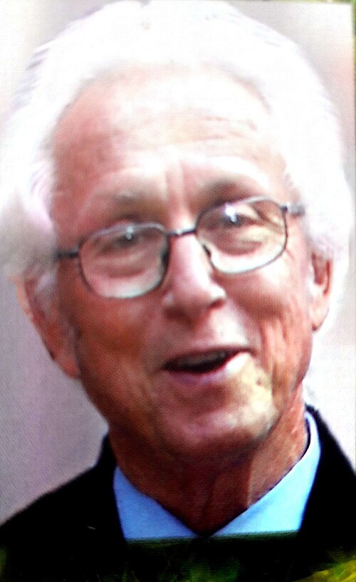 Daniel Amit